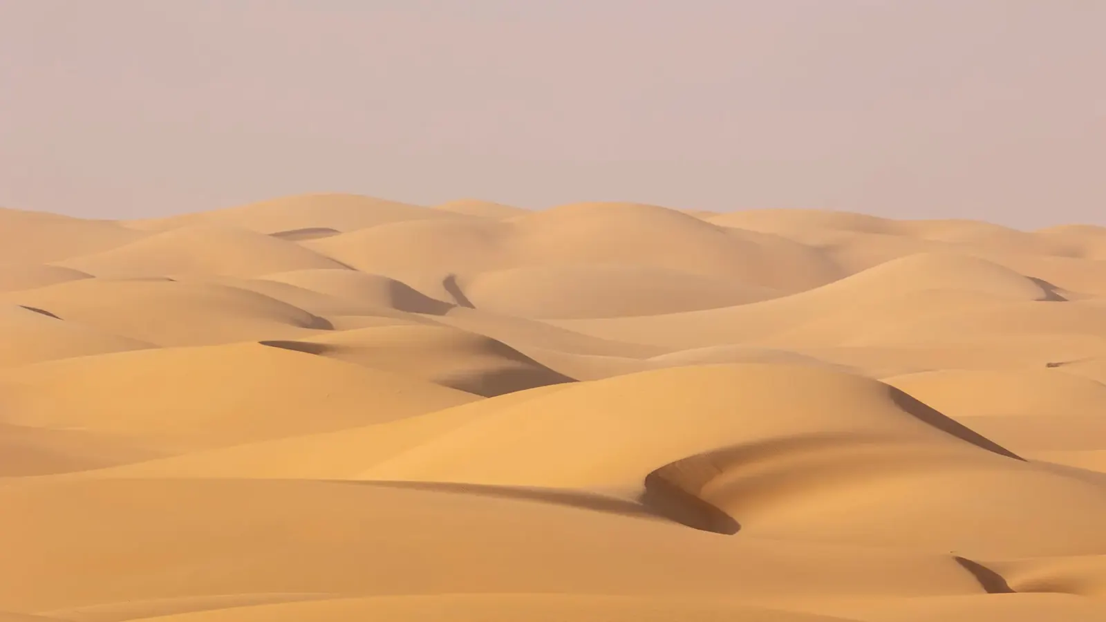 Caravane de dunes dans l'erg mauritanien