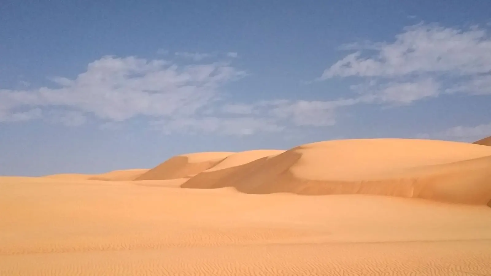 Étendue désertique du nord mauritanien autour de Ben Amira