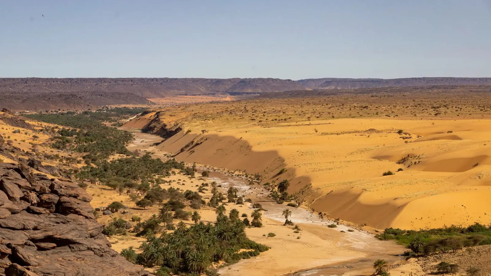 Palmeraie de l'oasis de Terjit dans l'Adrar